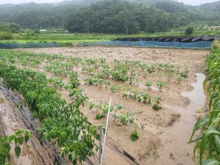 희상님의 자유주제 · 자유게시판 작성글 사진