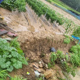 희상님의 자유주제 · 자유게시판 작성글 사진