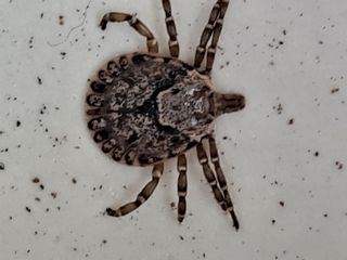 해남댁님의 자유주제 · 자유게시판 작성글 사진