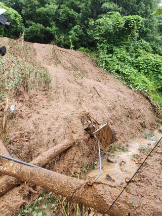 김복렬님의 자유주제 · 자유게시판 작성글 사진