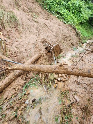 김복렬님의 자유주제 · 자유게시판 작성글 사진