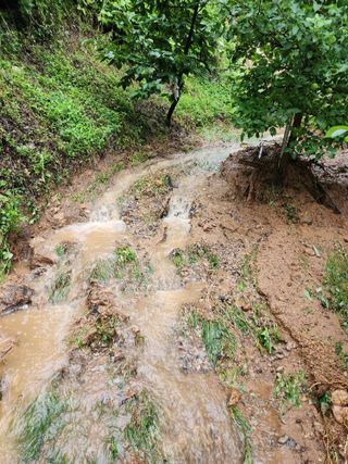 김복렬님의 자유주제 · 자유게시판 작성글 사진