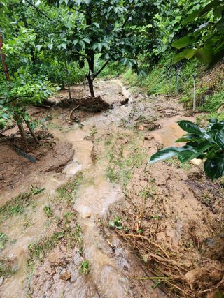 김복렬님의 자유주제 · 자유게시판 작성글 사진