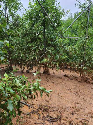 김복렬님의 자유주제 · 자유게시판 작성글 사진