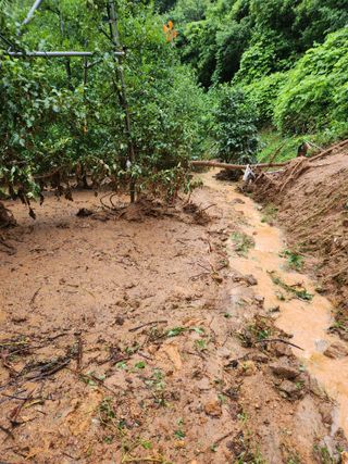 김복렬님의 자유주제 · 자유게시판 작성글 사진