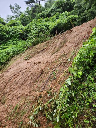 김복렬님의 자유주제 · 자유게시판 작성글 사진