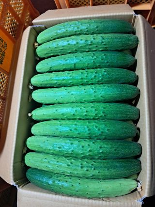 구민찬님의 🎉상반기 결산 자랑하기 · 참여글 작성글 사진