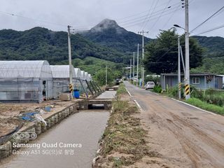 MSG0074님의 자유주제 · 자유게시판 작성글 사진