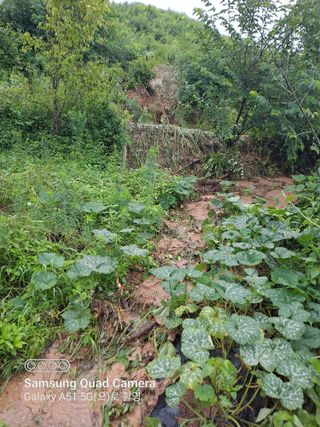 MSG0074님의 자유주제 · 자유게시판 작성글 사진