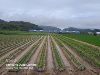 MSG0074님의 자유주제 · 자유게시판 작성글 사진