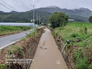 MSG0074님의 자유주제 · 자유게시판 작성글 사진