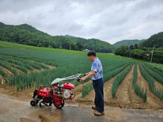 이석민님의 파 · 영농일지 작성글 사진