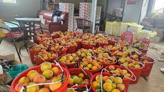 종합선물세트님의 자유주제 · 자유게시판 작성글 사진