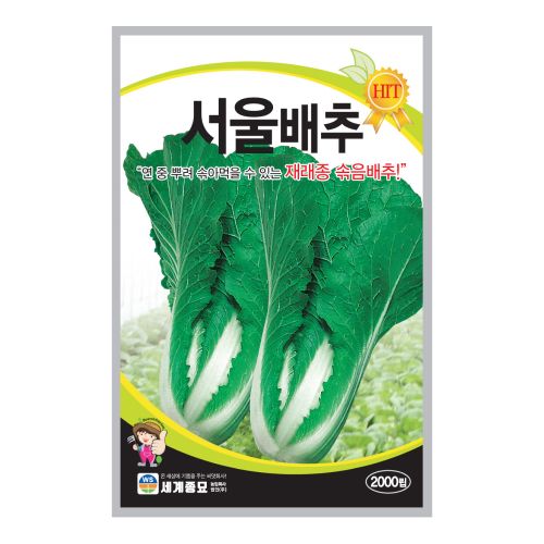 장터 상품 [[세계종묘] 서울배추(조선배추) 씨앗종자 2000립] 썸네일