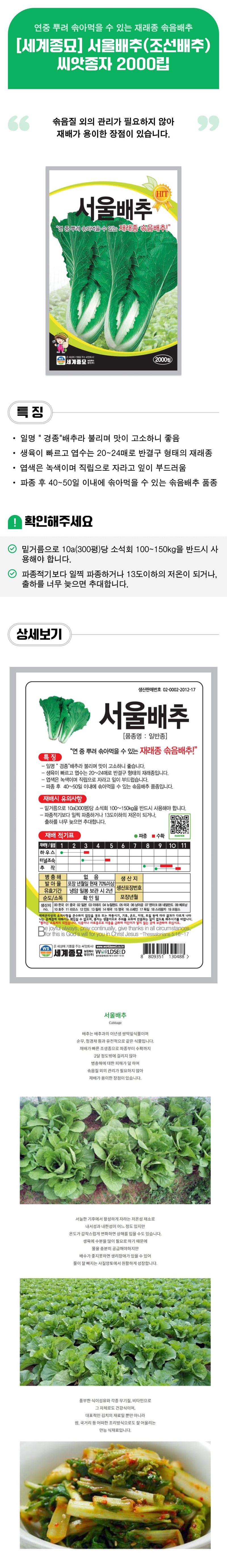 팜모닝 상점님의 장터 판매 상품 [[세계종묘] 서울배추(조선배추) 씨앗종자 2000립] 첨부 사진