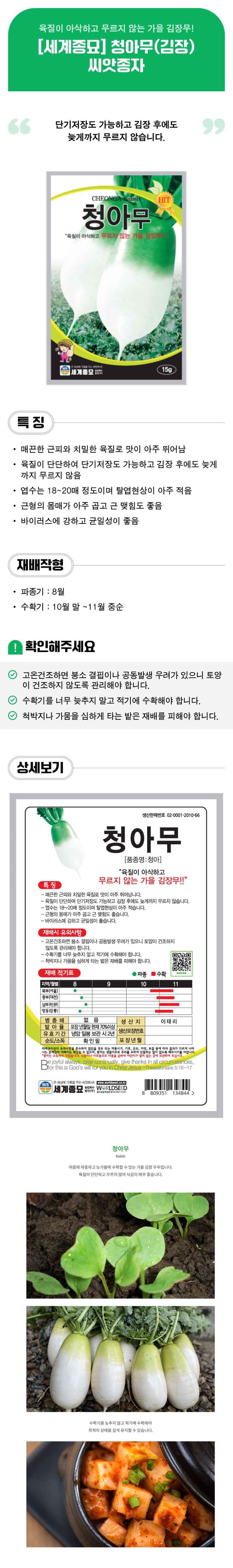 팜모닝 상점님의 장터 판매 상품 [[세계종묘] 청아무(김장) 씨앗종자 15g / 30g] 첨부 사진