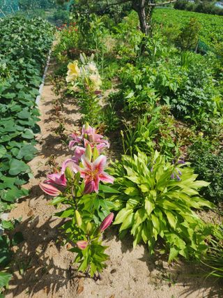 토마토21409님의 🎉상반기 결산 자랑하기 · 참여글 작성글 사진