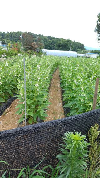 박순덕님의 자유주제 · 자유게시판 작성글 사진