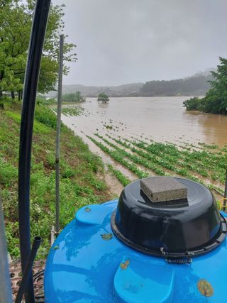 박진하님의 자유주제 · 자유게시판 작성글 사진