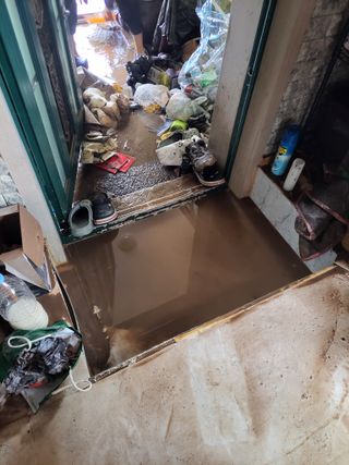 우영옥님의 옥수수 · 영농일지 작성글 사진