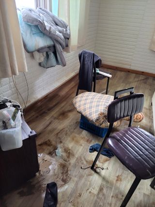 우영옥님의 옥수수 · 영농일지 작성글 사진