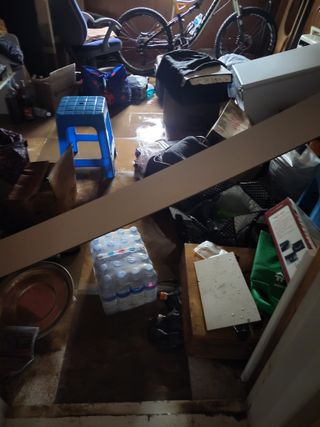 우영옥님의 옥수수 · 영농일지 작성글 사진