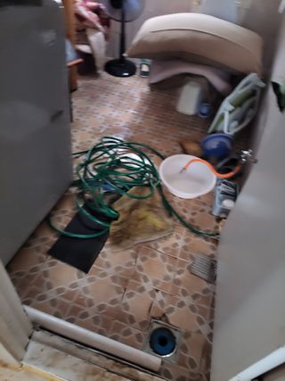 우영옥님의 옥수수 · 영농일지 작성글 사진