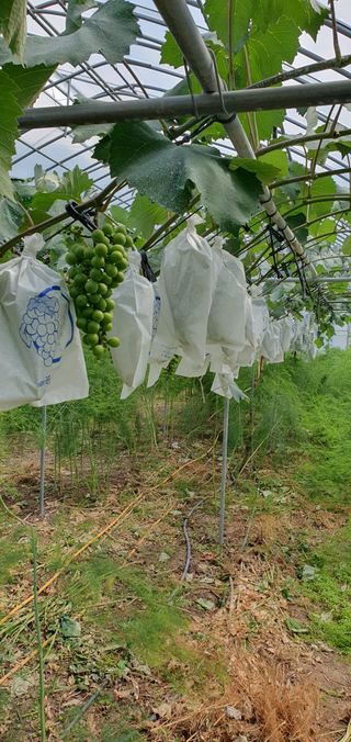 박두우님의 자유주제 · 자유게시판 작성글 사진