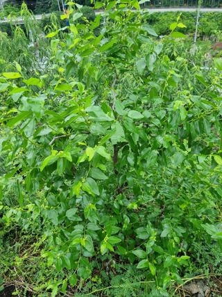 김용대님의 자유주제 · 자유게시판 작성글 사진