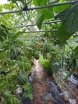 팜모닝 🎉상반기 결산 자랑하기·참여글 게시글 이미지