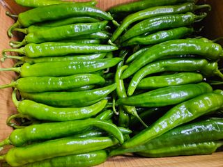 왕자농원님의 🎉상반기 결산 자랑하기 · 참여글 작성글 사진