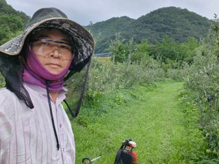 전락구님의 사과 · 영농일지 작성글 사진