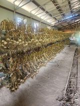 팜모닝 🎉상반기 결산 자랑하기·참여글 게시글 이미지