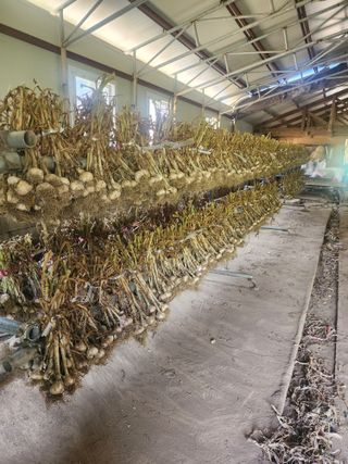 중간말님의 🎉상반기 결산 자랑하기 · 참여글 작성글 사진