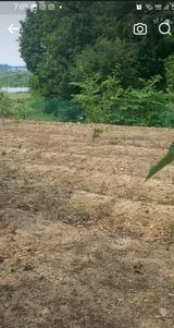 팜모닝 자유주제·자유게시판 게시글 이미지