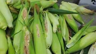 이서구님의 자유주제 · 자유게시판 작성글 사진