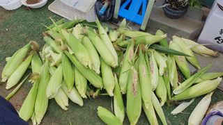 이서구님의 자유주제 · 자유게시판 작성글 사진