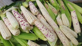 이서구님의 자유주제 · 자유게시판 작성글 사진