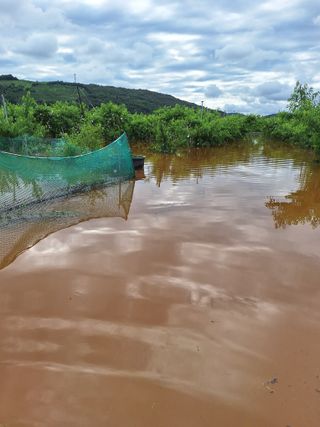 욕심내지말자님의 자유주제 · 자유게시판 작성글 사진