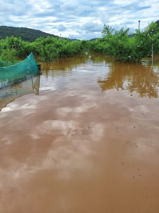 욕심내지말자님의 자유주제 · 자유게시판 작성글 사진