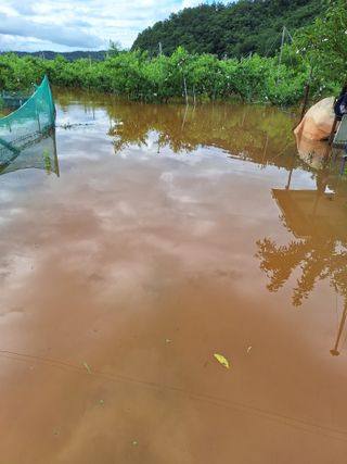 욕심내지말자님의 자유주제 · 자유게시판 작성글 사진
