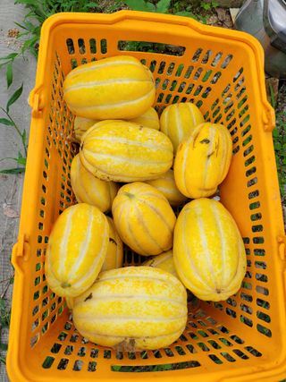 땅땅님의 자유주제 · 자유게시판 작성글 사진