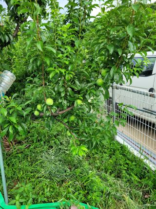 땅땅님의 자유주제 · 자유게시판 작성글 사진