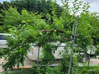 땅땅님의 자유주제 · 자유게시판 작성글 사진