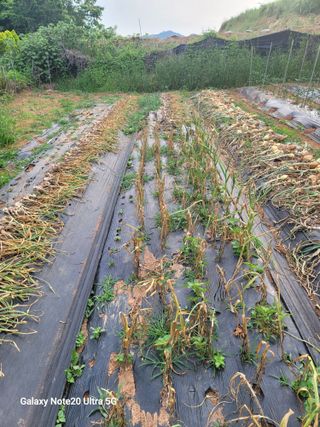 엔가드님의 🎉상반기 결산 자랑하기 · 참여글 작성글 사진