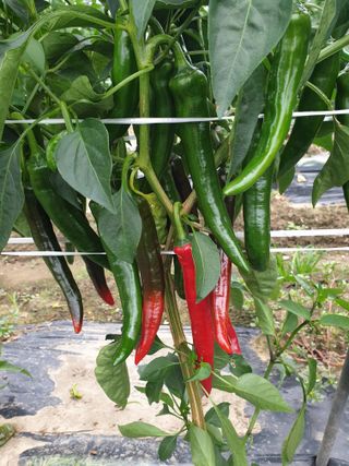 김화연님의 자유주제 · 자유게시판 작성글 사진