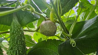 호피랑 농부랑님의 🎉상반기 결산 자랑하기 · 참여글 작성글 사진