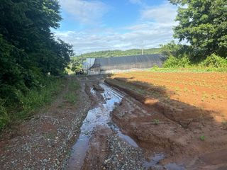 중근님님의 자유주제 · 자유게시판 작성글 사진