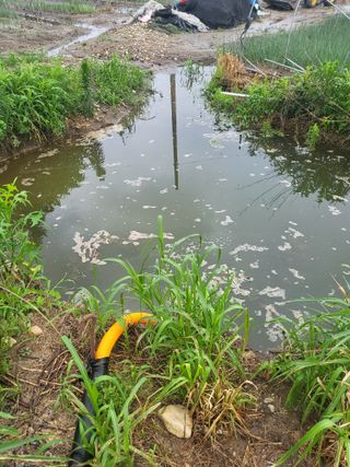 김성제님의 파 · 영농일지 작성글 사진