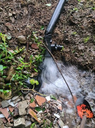 김성제님의 파 · 영농일지 작성글 사진